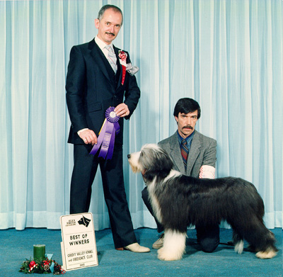 Dollar at six months old